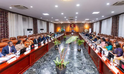 Sud-Kivu : Le Gouvernement dénonce la progression du M23 à Minembwe