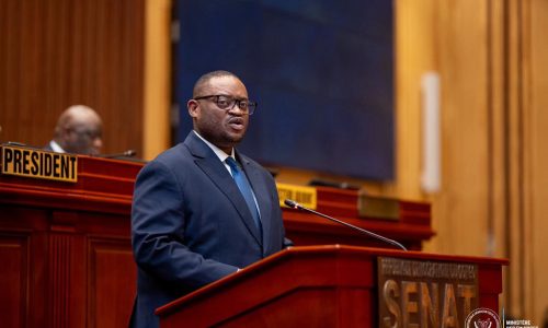 Doudou Fwamba au Sénat pour la révision de la loi n°14/005