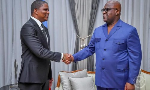 Félix Tshisekedi reçoit le nouveau Directeur général de l’ARSP