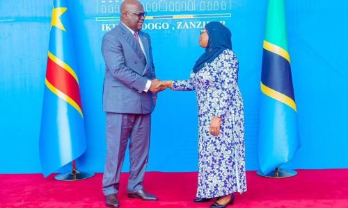 Félix Tshisekedi plaide pour la transformation locale des ressources africaines