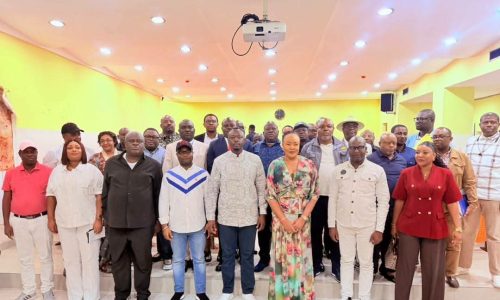 ÉNERGIE À KINSHASA Face au délestage, Teddy Lwamba renforce le dialogue avec les députés provinciaux