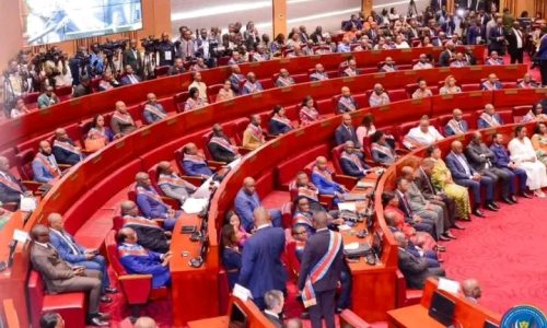 Pas de référendum : le Sénat privilégie une commission constituante pour la rédaction de la Constitution
