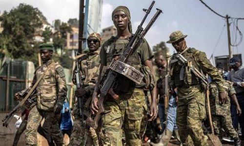 Violents affrontements entre les FARDC et le groupe armé Twirwaneho à Minembwe sur fond de crise humanitaire