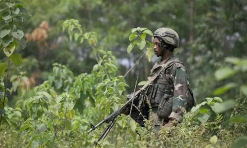 Grands Lacs : l’ICG salue la signature d’un protocole de désarmement par une faction du FDLR